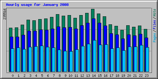 Hourly usage for January 2008