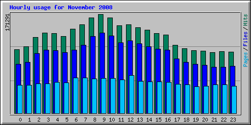 Hourly usage for November 2008