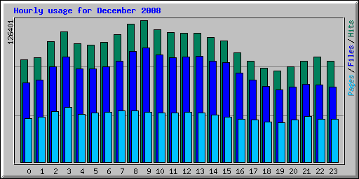 Hourly usage for December 2008