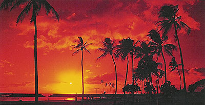 Postcard from Hawaii