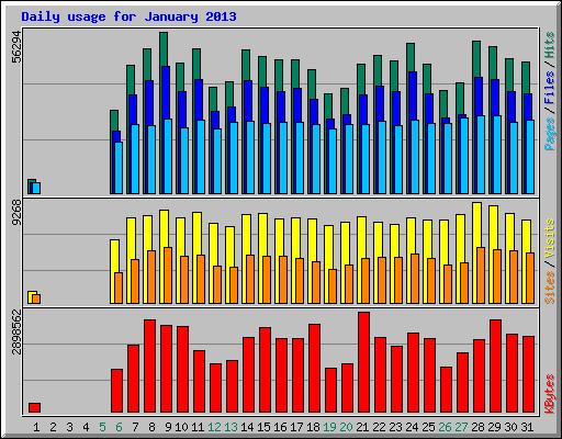Daily usage for January 2013