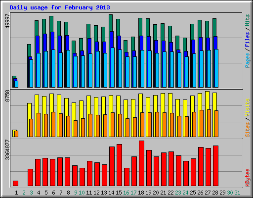 Daily usage for February 2013