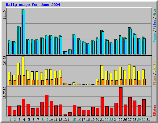 Daily usage for June 2024