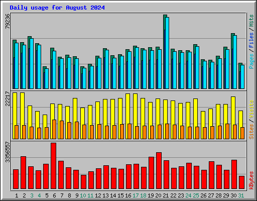 Daily usage for August 2024