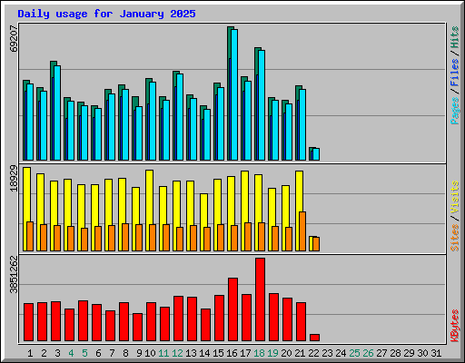 Daily usage for January 2025