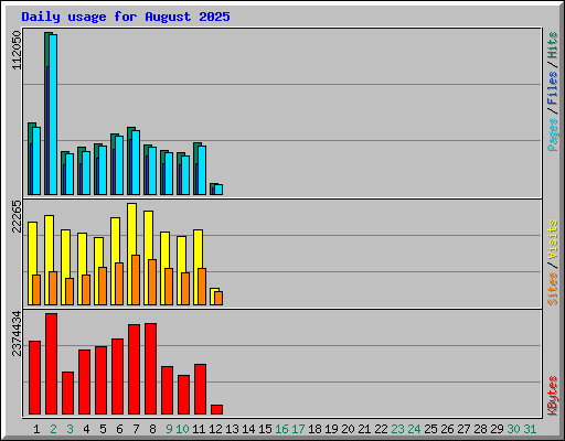 Daily usage for August 2025