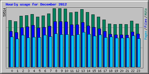 Hourly usage for December 2012