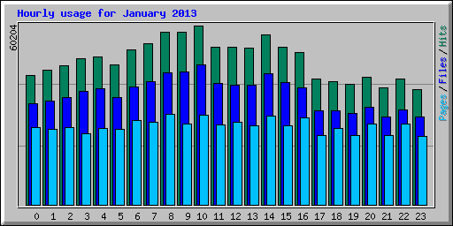 Hourly usage for January 2013