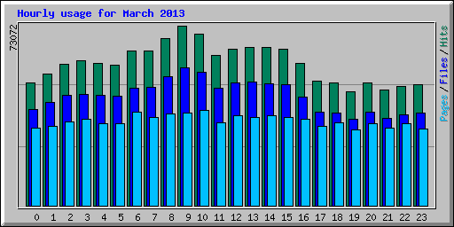 Hourly usage for March 2013