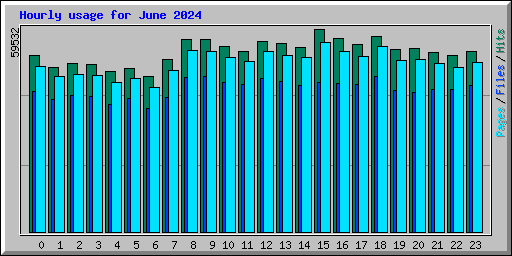 Hourly usage for June 2024