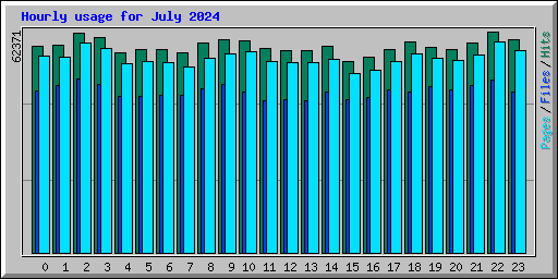 Hourly usage for July 2024