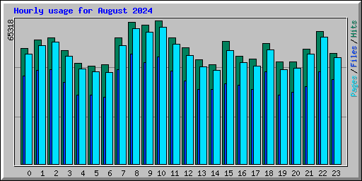 Hourly usage for August 2024