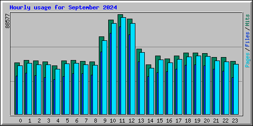 Hourly usage for September 2024