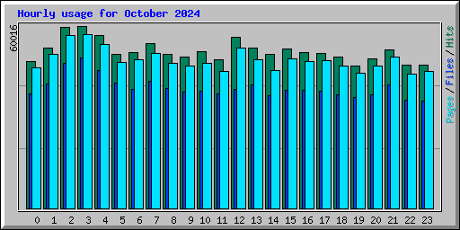 Hourly usage for October 2024