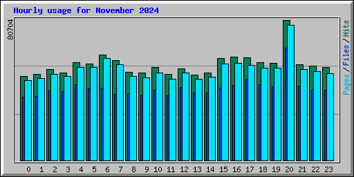 Hourly usage for November 2024