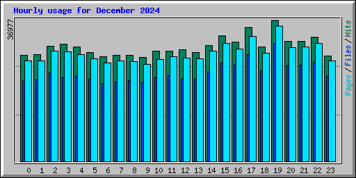 Hourly usage for December 2024