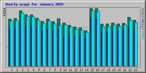 Hourly usage for January 2025