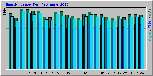 Hourly usage for February 2025