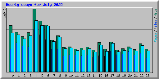 Hourly usage for July 2025