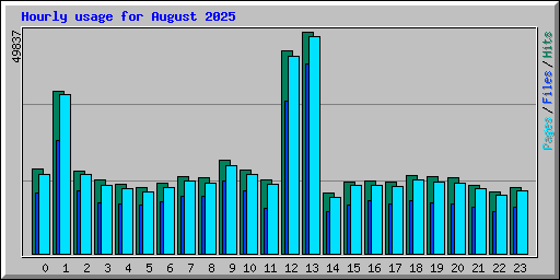 Hourly usage for August 2025