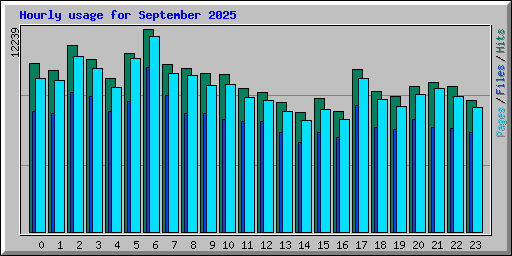 Hourly usage for September 2025