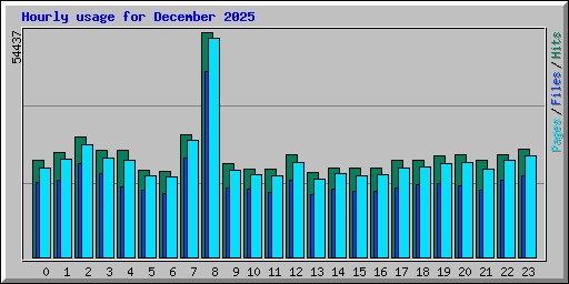 Hourly usage for December 2025
