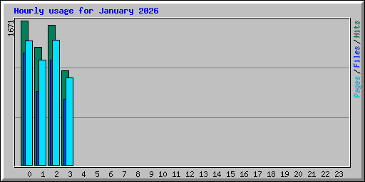 Hourly usage for January 2026